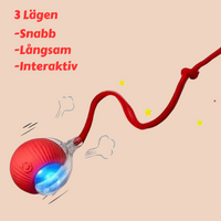 Tassjakten - Åk till jobbet utan ångest